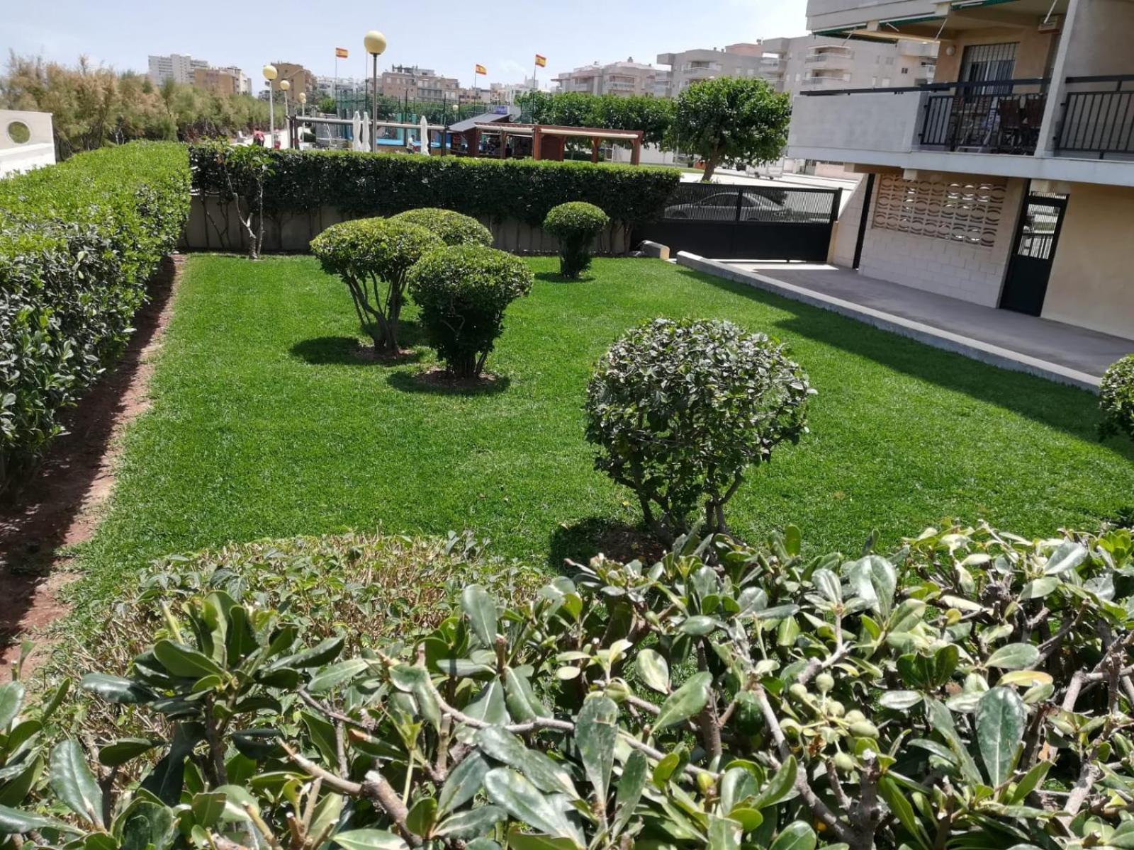 Apartamento Gandia Daimuz Daimus Exterior foto
