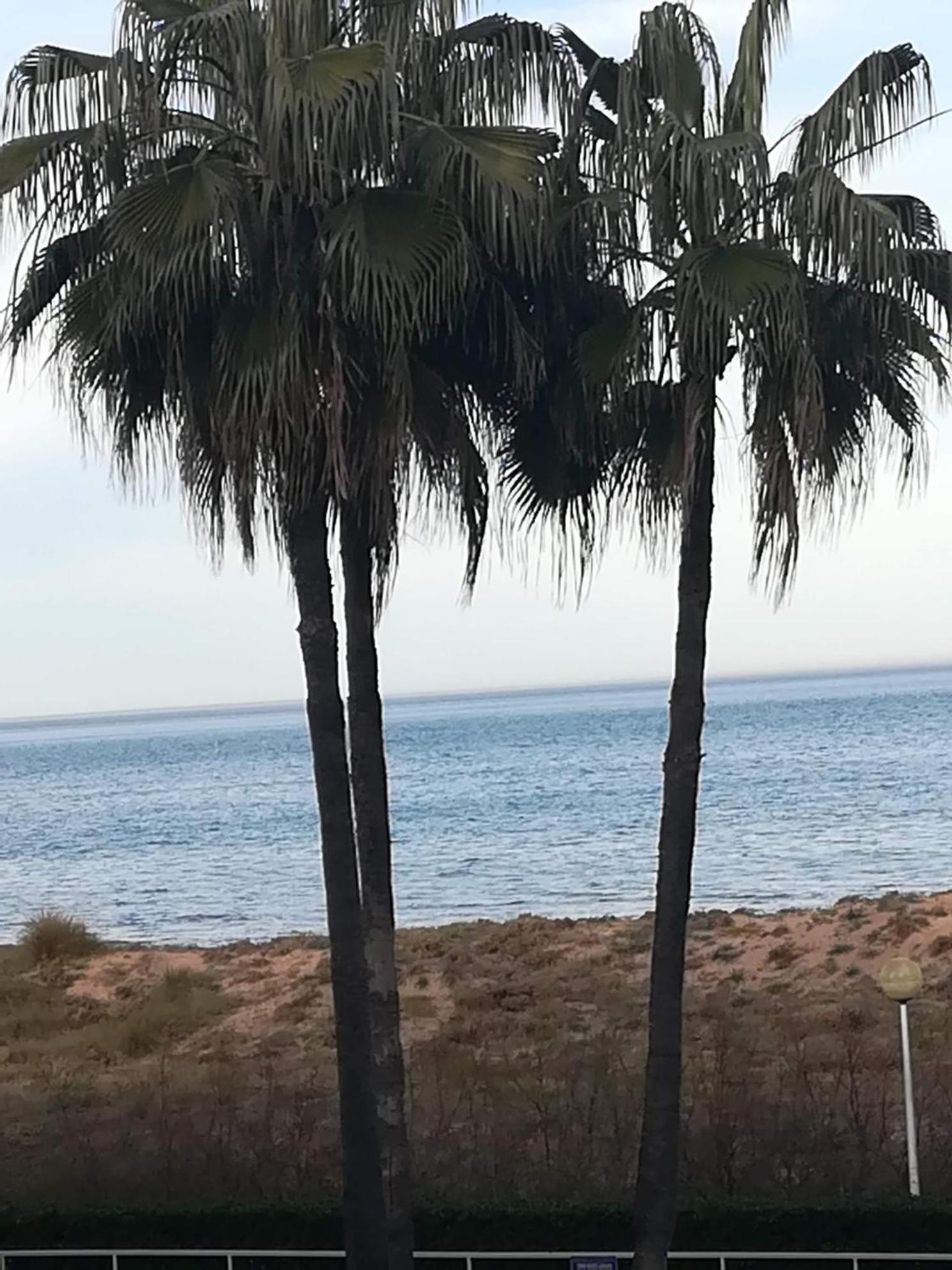 Apartamento Gandia Daimuz Daimus Exterior foto